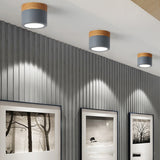 Surface Mounted LED Downlight Bedroom Living Room Aisle Corridor Ceiling Light Indoor Lighting Modern Minimalist LED Spotlight