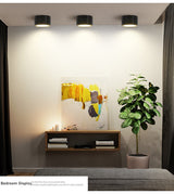 Led Downlight Simple Surface Mounted Led Light Ceiling Light 5W 7W 10W COB Dimmable Indoor Lighting For Bedroom Restaurant Hall