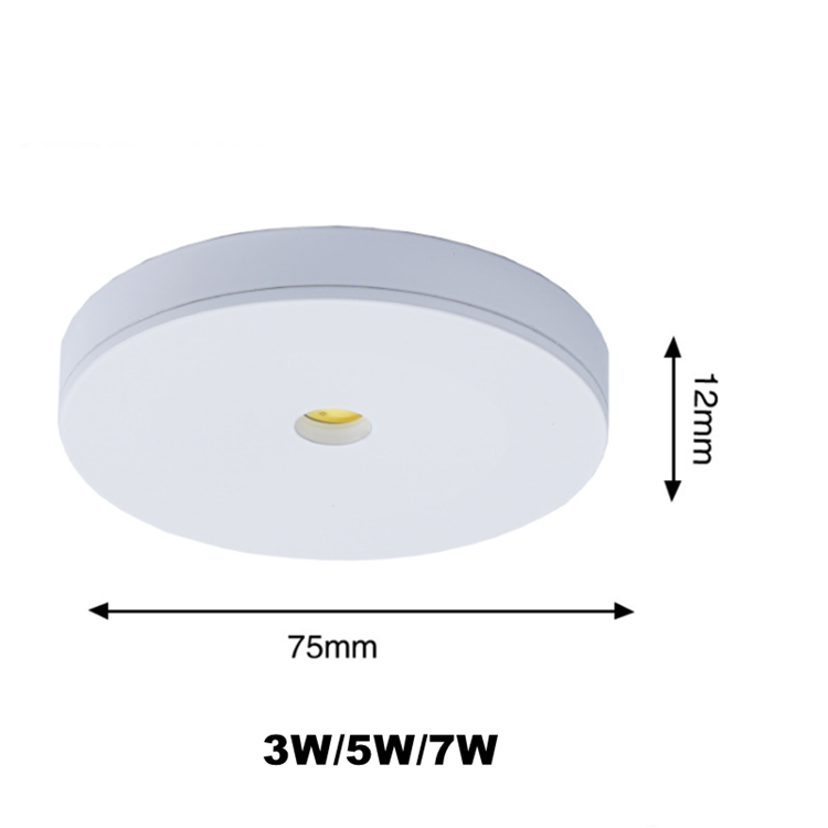 Surface Mounted 3W 5W 7W LED Downlight 220V Ceiling Lamps Ultra Thin Driverless Book Rack LED Spot Lights Lighting