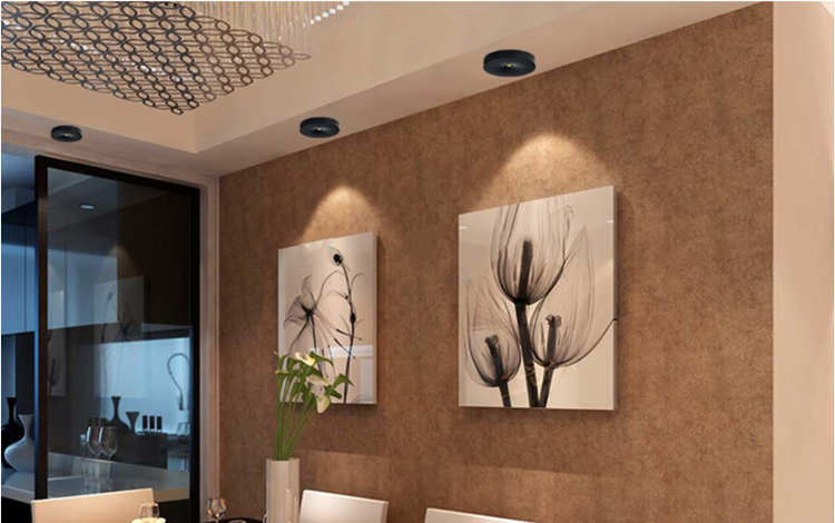 Surface Mounted 3W 5W 7W LED Downlight 220V Ceiling Lamps Ultra Thin Driverless Book Rack LED Spot Lights Lighting