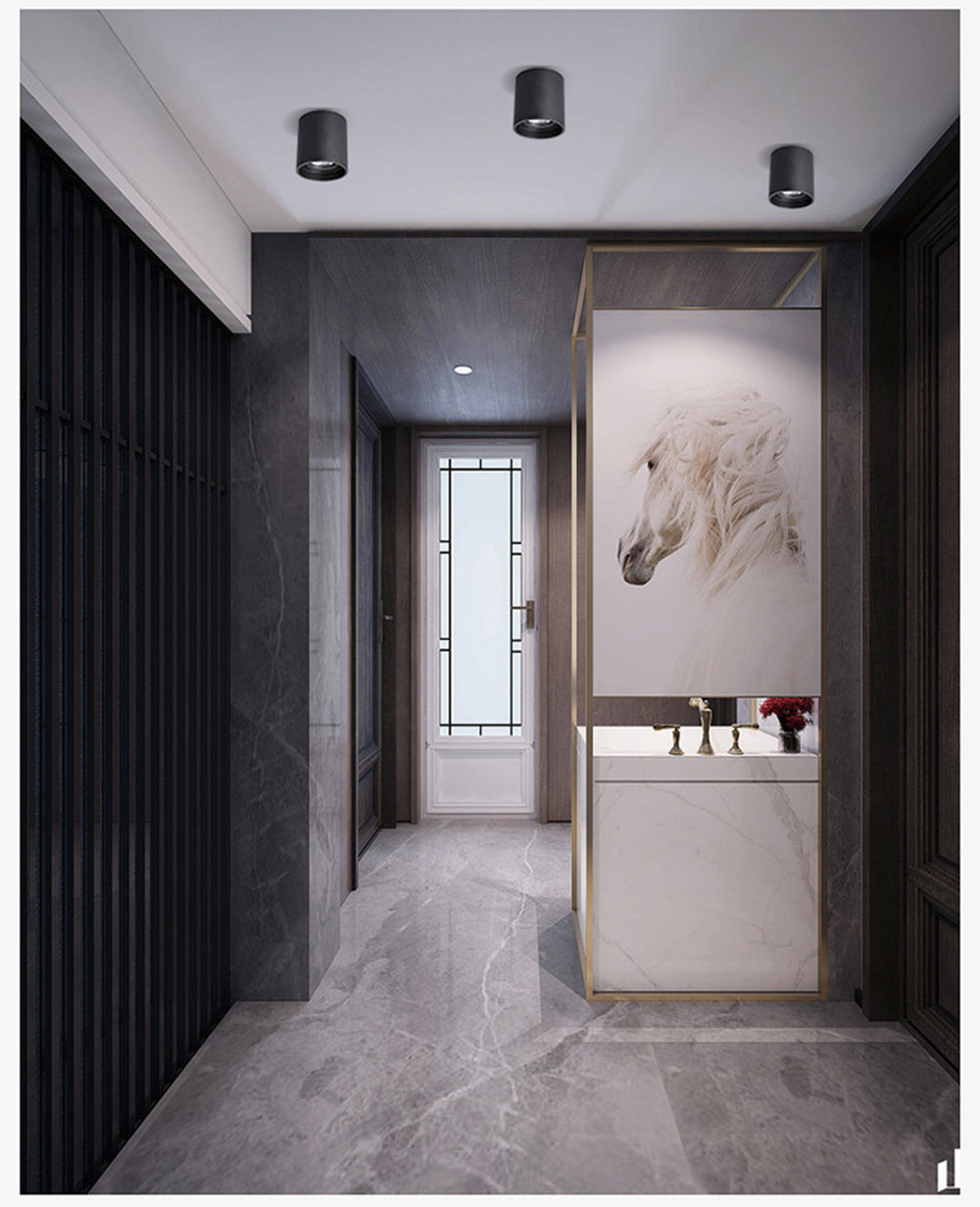 Modern LED Downlight 5W 7W 10W Surface Installation Home Lighting Bedroom Living Room Aisle Ceiling Spotlight Adjustable Angle