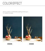 BRGT LED Short Spotlight Round Recessed Downlight Anti Glare 5W 7W 12W Ceiling Lamp Ultra Thin Cut 75mm For Living Room Lighting