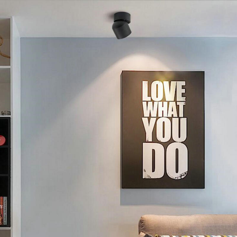 Led Surface Mounted Ceiling Downlight Adjustable 90 degrees Nordic 10W Spot light for indoor Foyer,Living Room AC 90-260V