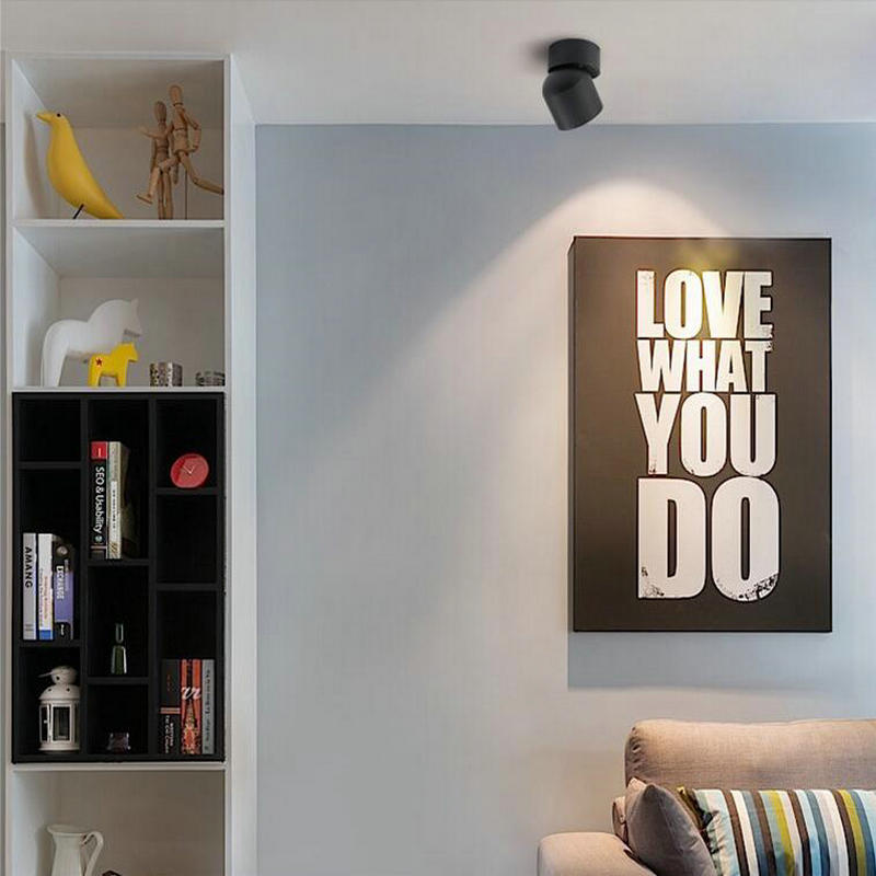 Led Surface Mounted Ceiling Downlight Adjustable 90 degrees Nordic 10W Spot light for indoor Foyer,Living Room AC 90-260V