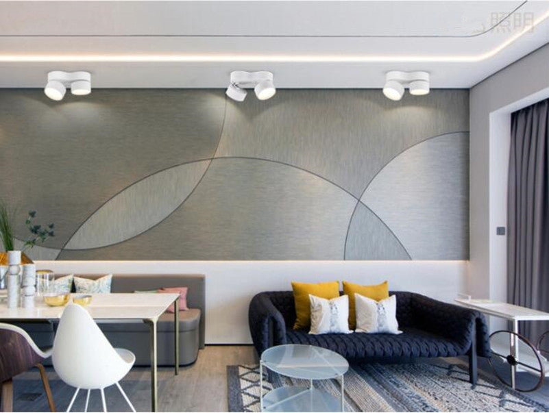 LED Downlight 30W 40W COB Adjustable Surface Mounted LED Ceiling Lamps Down Light LED Spotlight Rotatable