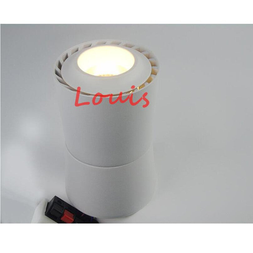 LED Downlights 15W 20W COB LED Ceiling Lamps Adjustable 360 Rotatable LED Track Lights Warm White AC110-220V