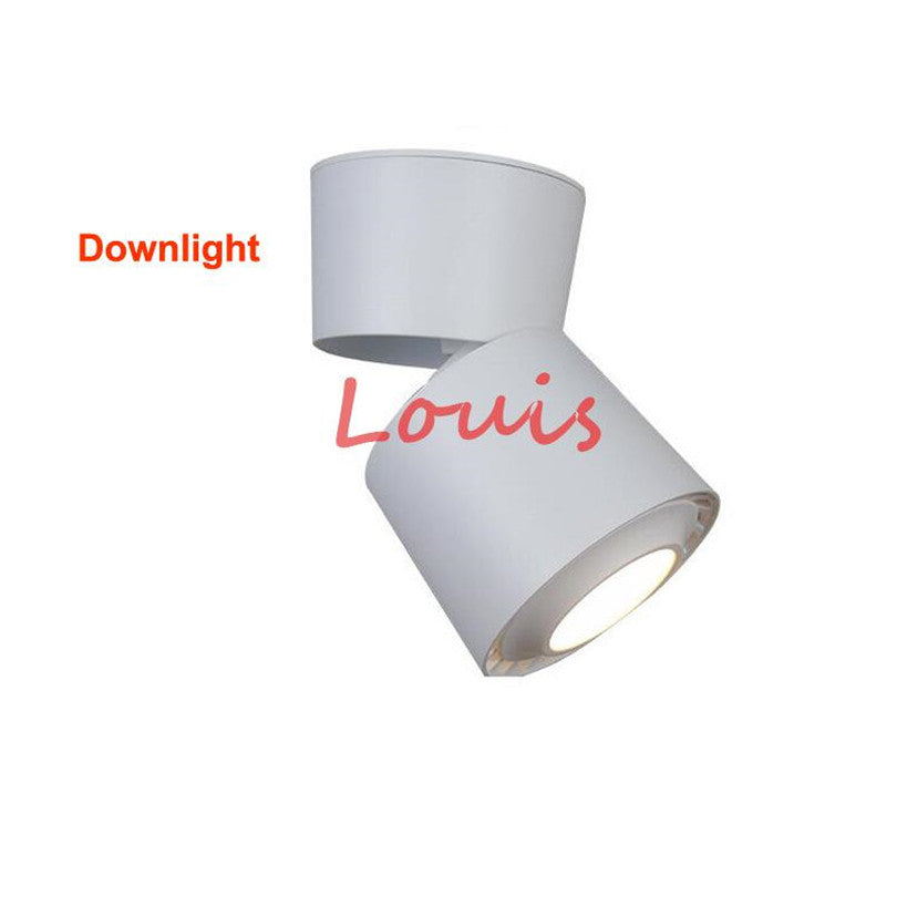 LED Downlights 15W 20W COB LED Ceiling Lamps Adjustable 360 Rotatable LED Track Lights Warm White AC110-220V