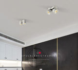 High Power 30W 40W Dimmable COB LED Ceiling Lamp Downlights Surface Mounted Indoor Lighting for Stores Shopping Mall