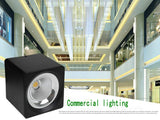 Surface Mounted 10W 15W 20W LED downlight Ceiling Lamps COB LED spot lights 110V 220V Ceiling Fixtures Lighting
