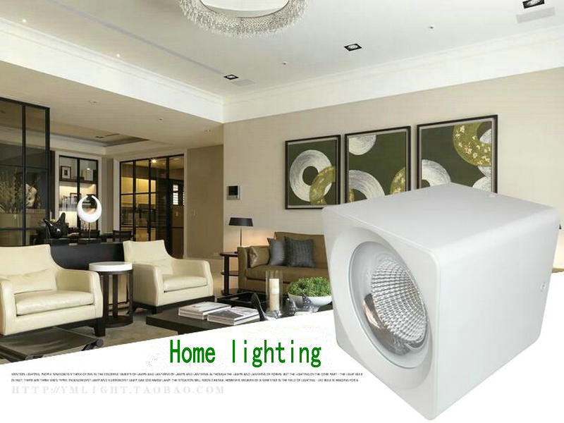 Surface Mounted 10W 15W 20W LED downlight Ceiling Lamps COB LED spot lights 110V 220V Ceiling Fixtures Lighting