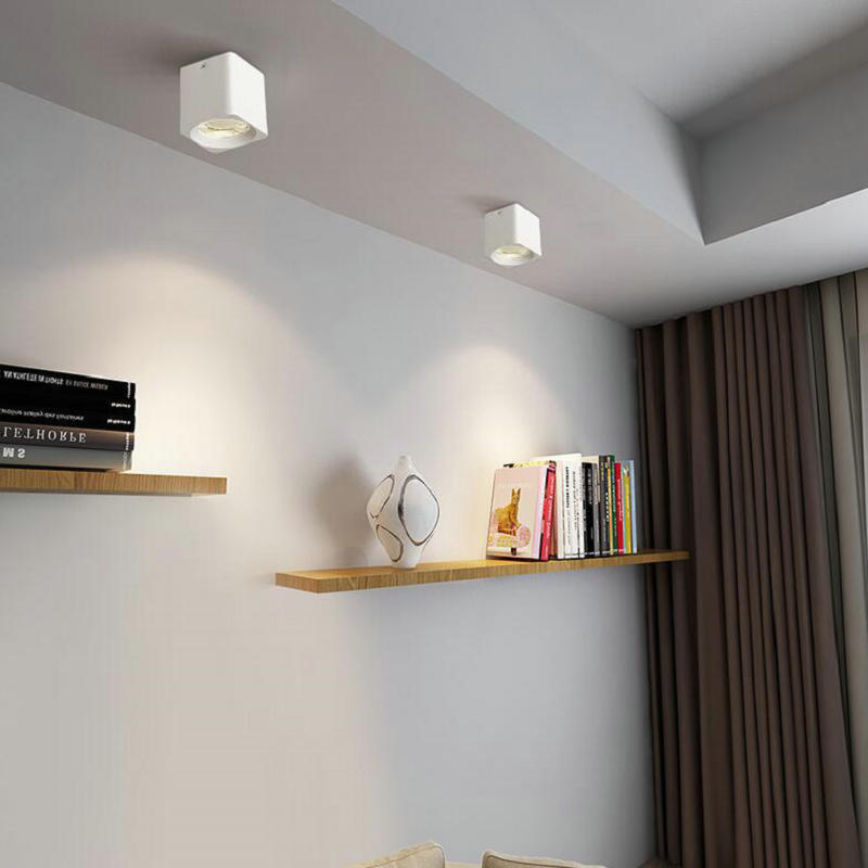 Surface Mounted 10W 15W 20W LED downlight Ceiling Lamps COB LED spot lights 110V 220V Ceiling Fixtures Lighting