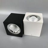 Surface Mounted 10W 15W 20W LED downlight Ceiling Lamps COB LED spot lights 110V 220V Ceiling Fixtures Lighting