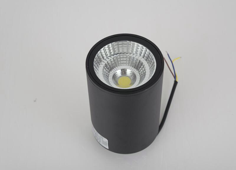 IP65 waterproof COB 15W Ceiling lamps 10PCS/lot LED Downlights Warm white/cold white AC85-265V