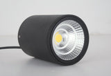 IP65 waterproof COB 15W Ceiling lamps 10PCS/lot LED Downlights Warm white/cold white AC85-265V