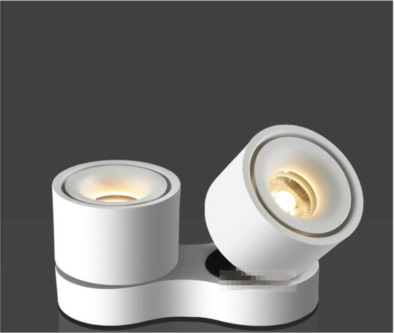 Adjustable Rotatable LED Downlight 2x15W 2x20W LED Ceiling Lamp Surface Mounted LED Decoration Spot Light Aluminum 30W 40W 2 pcs