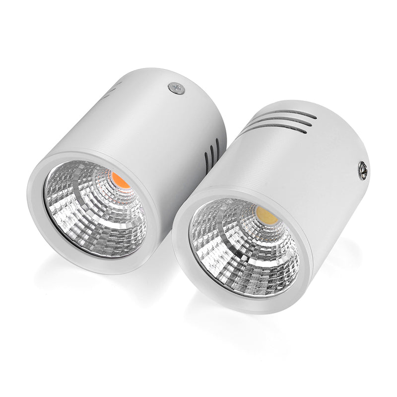 Surface mounted led COB 10PCS downlight 3W 5W 7W 12W led lamp ceiling AC85-265V spotlight LED Downlight Decoration Lamps