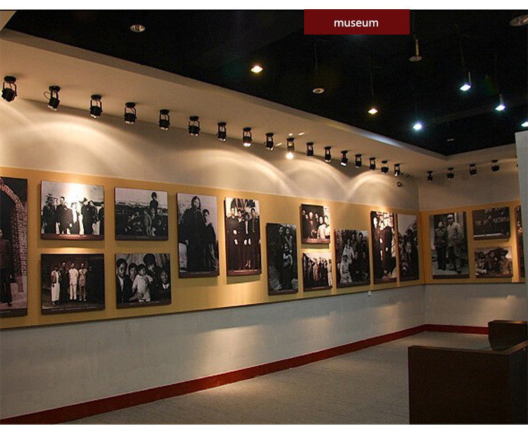 Surface mounted led COB 10PCS downlight 3W 5W 7W 12W led lamp ceiling AC85-265V spotlight LED Downlight Decoration Lamps