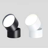 LED Downlight 20W 15W 10W Style Anti-glare Dimmable Surface Mounted Rotating Epistar Spot Light Ceiling Lamp