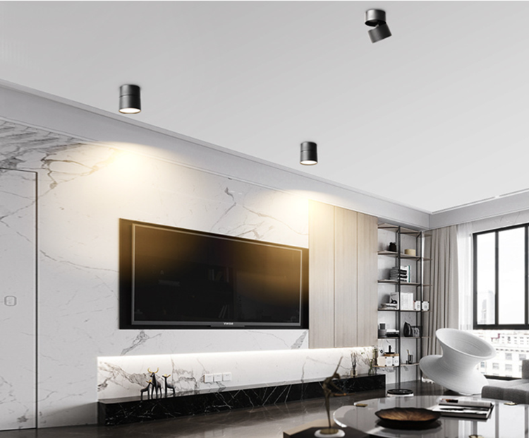 LED Downlight 20W 15W 10W Style Anti-glare Dimmable Surface Mounted Rotating Epistar Spot Light Ceiling Lamp