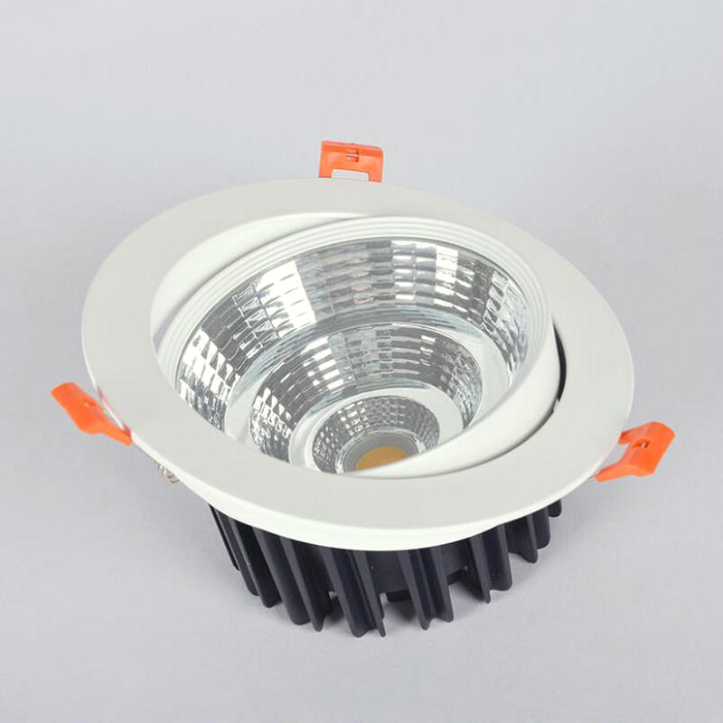 Dimmable LED Downlight COB Ceiling Spot Lighting 7W 12W 15W 20W 30W Led Bulb Bedroom Kitchen 4pcs Indoor ceiling recessed Light