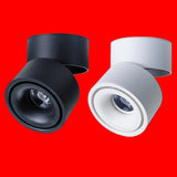 YRANK Mounted 15W 20W COB LED Dimmable Adjustable Recessed Ceiling Lamps Indoor Spot Downlights Black/White Body