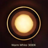 LED Downlight 5W LED Lamp 220V Spotlight Recessed Round Panel Light 3 Colors Changeable Indoor Lighting Down light
