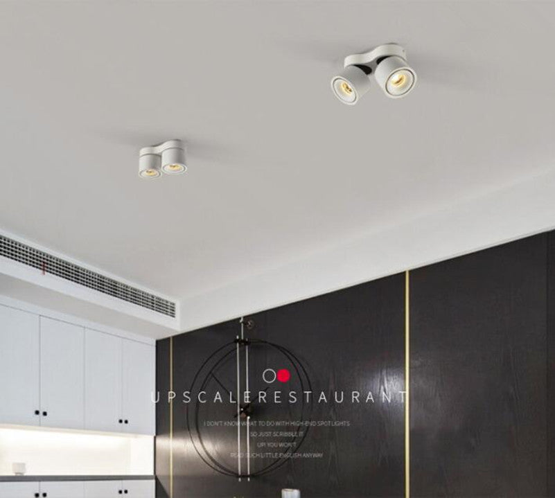 Dimmable COB LED Ceiling Lamp Downlights 30W 40W Surface Mounted Indoor Lighting for Clothing Shops Stores Lights