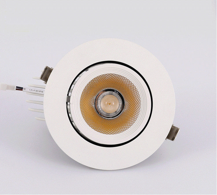 Dimmable Embedded retractable LED COB Ceiling 10W 15W 20W 30W AC85-265V adjustable 360 Degree LED Trunk Downlight Home lighting