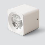 Surface Mounted Ceiling Downlight 10W Square AC85-265V Lamp COB Led Downlights Ceiling Spot Light