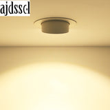 Trunk Downlight COB Ceiling 10W 15W 30W LED Dimmable AC110V/220V85-265V Adjustable recessed led Indoor Light cob led downlight