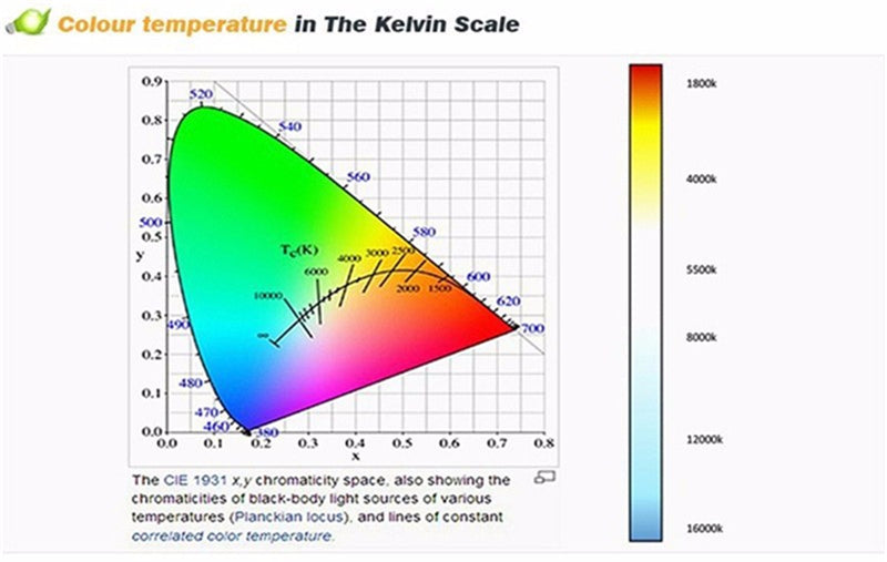 Surface Mounted Ceiling Downlight lamp for ceiling led lights 7W 10W 12W COB led spot lights Ceiling Fixtures Lighting