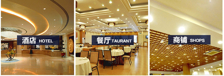 LED downlight Dimmable SPOT Led COB Ceiling led DOwnlight  20W rotating 110V/220V/Warm white surface mounted Indoor Lighting