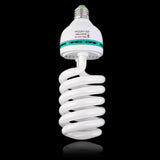 Photography Light Bulb