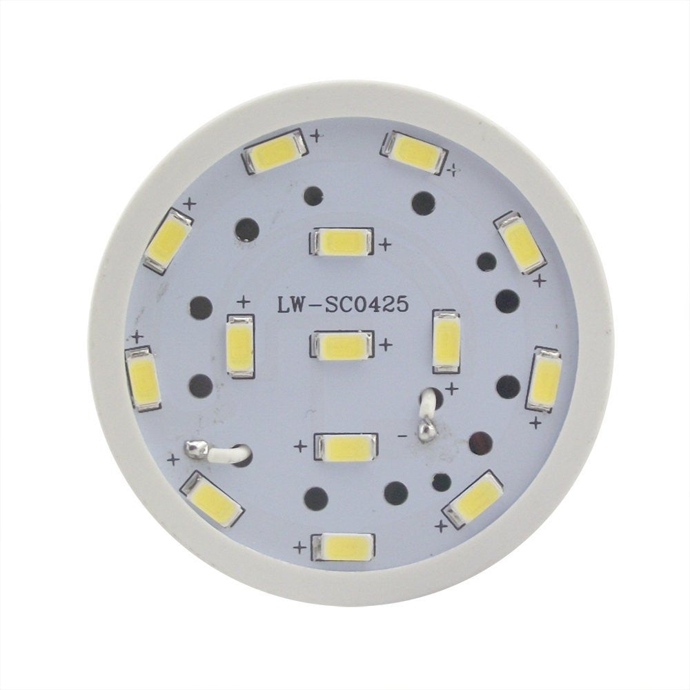 LED Studio/Photography Light Bulb 20W