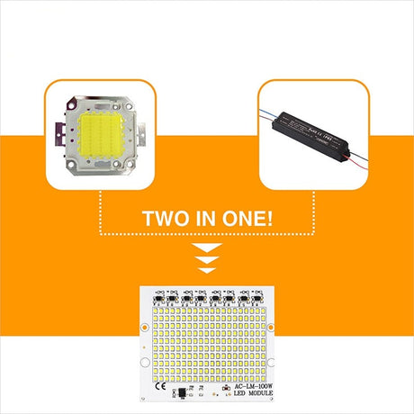 Smart IC SMD LED Chips Lamp 10W 20W 30W 50W 100W AC 220V SMD2835 DIY For Outdoor Floodlight Outdoor Garden Cold White Warm White