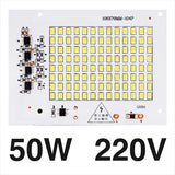 Smart IC SMD LED Chips Lamp 10W 20W 30W 50W 100W AC 220V SMD2835 DIY For Outdoor Floodlight Outdoor Garden Cold White Warm White