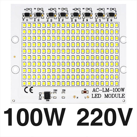 Smart IC SMD LED Chips Lamp 10W 20W 30W 50W 100W AC 220V SMD2835 DIY For Outdoor Floodlight Outdoor Garden Cold White Warm White