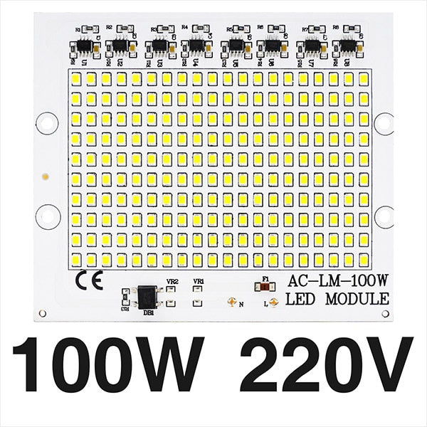 Smart IC SMD LED Chips Lamp 10W 20W 30W 50W 100W AC 220V SMD2835 DIY For Outdoor Floodlight Outdoor Garden Cold White Warm White