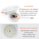 LED Downlight 3W 5W 9W 12W 20W Round Recessed Led Ceiling Downlight SMD 5730 Mini Spot Led For Bedroom Kitchen Indoor Lighting