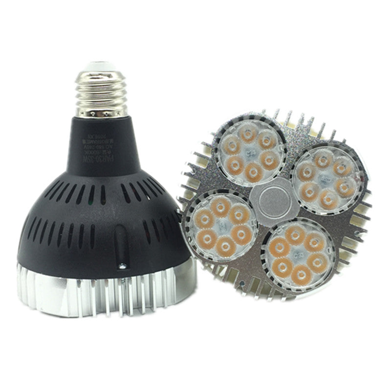 PAR 30 35W LED Spotlight/Light Bulb