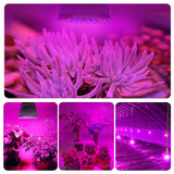 Full Spectrum E27 220V LED Plant Grow Light Bulb Fitolampy Phyto Lamp For Indoor Garden Plants Flower Hydroponics Grow Tent Box