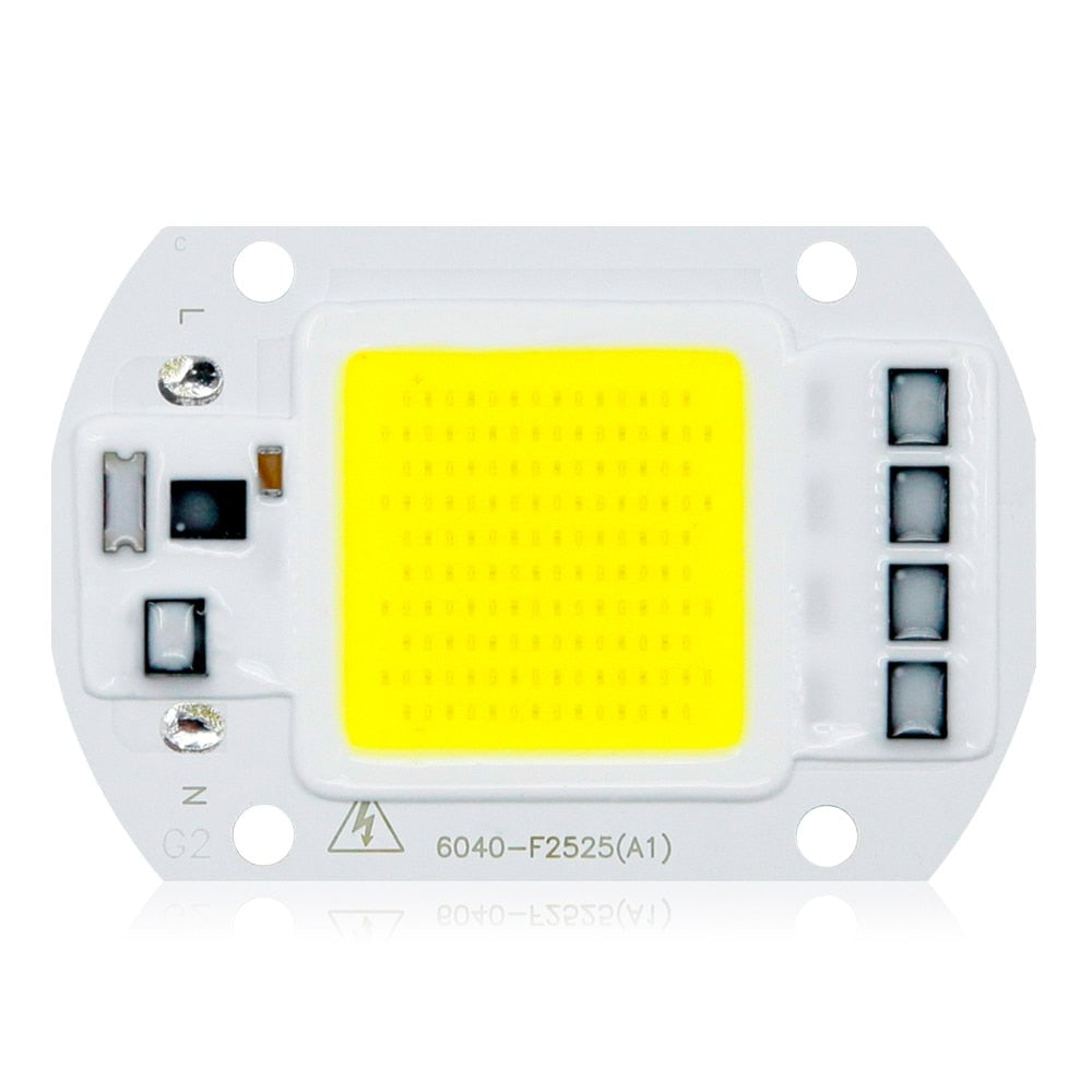 LED COB Lamp 10W 20W 30W 50W Real AC 220V 230V IP65 Smart IC DIY LED Bulb Flood Light Spotlight For Projectors Driver Light