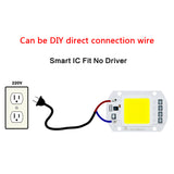 LED COB Lamp 10W 20W 30W 50W Real AC 220V 230V IP65 Smart IC DIY LED Bulb Flood Light Spotlight For Projectors Driver Light