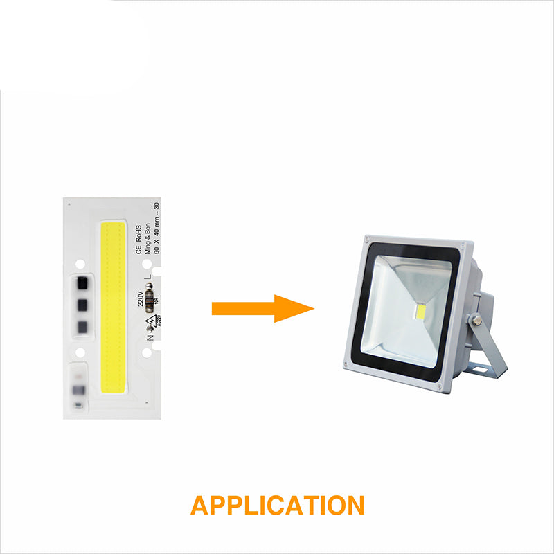 Smart IC Light LED Bright COB Bulb Lamp 30W 50W 70W 100W 150W AC220V 110V Input High Power IP65 Smart IC DIY For LED Flood Light