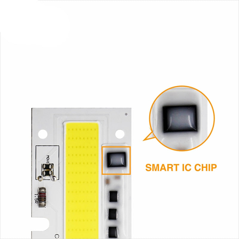 Smart IC Light LED Bright COB Bulb Lamp 30W 50W 70W 100W 150W AC220V 110V Input High Power IP65 Smart IC DIY For LED Flood Light