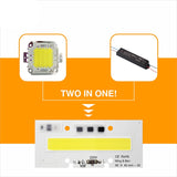 Smart IC Light LED Bright COB Bulb Lamp 30W 50W 70W 100W 150W AC220V 110V Input High Power IP65 Smart IC DIY For LED Flood Light