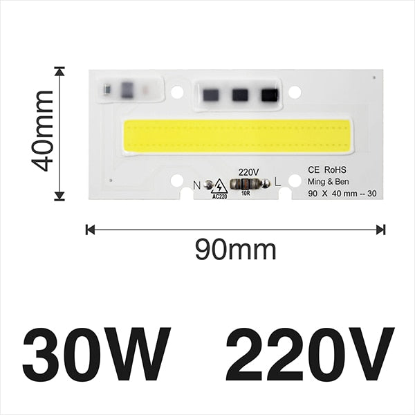 Smart IC Light LED Bright COB Bulb Lamp 30W 50W 70W 100W 150W AC220V 110V Input High Power IP65 Smart IC DIY For LED Flood Light