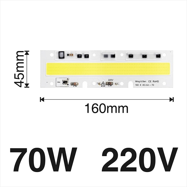 Smart IC Light LED Bright COB Bulb Lamp 30W 50W 70W 100W 150W AC220V 110V Input High Power IP65 Smart IC DIY For LED Flood Light