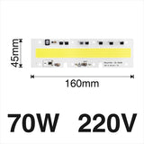 Smart IC Light LED Bright COB Bulb Lamp 30W 50W 70W 100W 150W AC220V 110V Input High Power IP65 Smart IC DIY For LED Flood Light