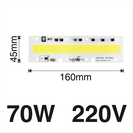 Smart IC Light LED Bright COB Bulb Lamp 30W 50W 70W 100W 150W AC220V 110V Input High Power IP65 Smart IC DIY For LED Flood Light